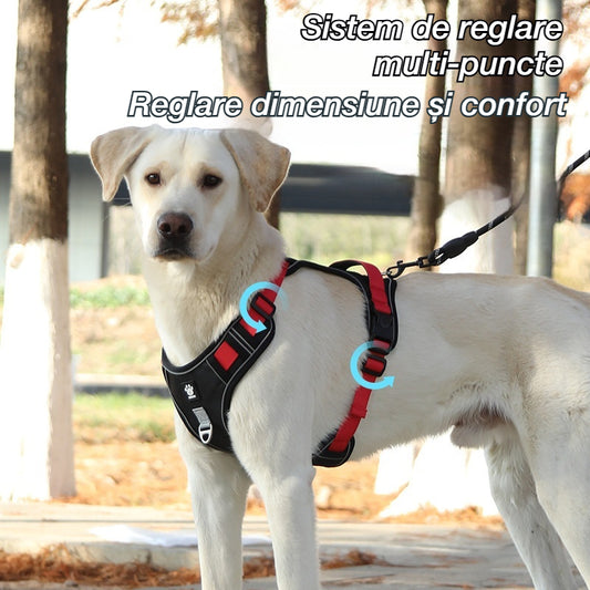 🐕🚶‍♂️ Lăț de plimbare reglabil | Mai mult confort la plimbare