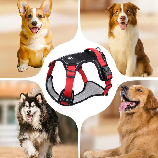 🐶🔥 50% REDUCERE PENTRU O PERIOADĂ LIMITATĂ! Ham anti-trăgere cu lesă și zgardă ✨ Control și siguranță maxime la fiecare plimbare 🌙