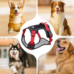 🐶🔥 50% REDUCERE PENTRU O PERIOADĂ LIMITATĂ! Ham anti-trăgere cu lesă și zgardă ✨ Control și siguranță maxime la fiecare plimbare 🌙