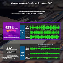 🚗🎵🎵【Unitate flash USB pentru muzică】Conține 3000 de melodii, 200 de videoclipuri muzicale și efecte sonore 6D.