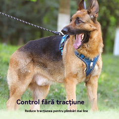 🐶🔥 50% REDUCERE PENTRU O PERIOADĂ LIMITATĂ! Ham anti-trăgere cu lesă și zgardă ✨ Control și siguranță maxime la fiecare plimbare 🌙