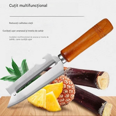 💥Cumpără 1, primești 1 gratis💥🔪Purificator multifuncțional din oțel inoxidabil🧅