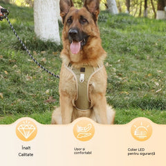 🐶🔥 50% REDUCERE PENTRU O PERIOADĂ LIMITATĂ! Ham anti-trăgere cu lesă și zgardă ✨ Control și siguranță maxime la fiecare plimbare 🌙