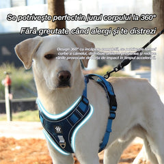 🐕🚶‍♂️ Lăț de plimbare reglabil | Mai mult confort la plimbare
