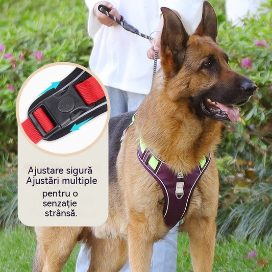 🐶🔥 50% REDUCERE PENTRU O PERIOADĂ LIMITATĂ! Ham anti-trăgere cu lesă și zgardă ✨ Control și siguranță maxime la fiecare plimbare 🌙