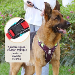 🐶🔥 50% REDUCERE PENTRU O PERIOADĂ LIMITATĂ! Ham anti-trăgere cu lesă și zgardă ✨ Control și siguranță maxime la fiecare plimbare 🌙