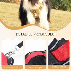 🐶🔥 50% REDUCERE PENTRU O PERIOADĂ LIMITATĂ! Ham anti-trăgere cu lesă și zgardă ✨ Control și siguranță maxime la fiecare plimbare 🌙